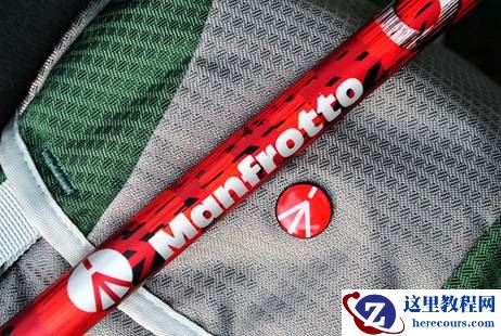 29包主标志_副本