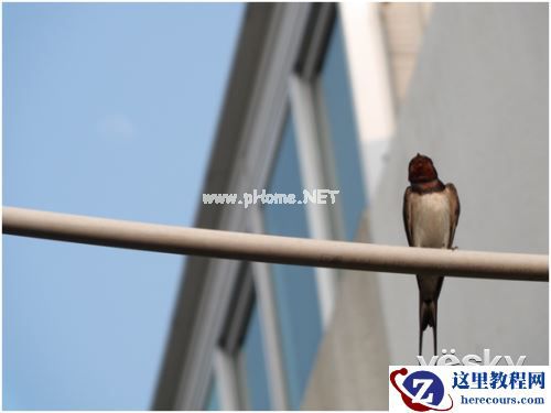 社交网络时代的摄影之道