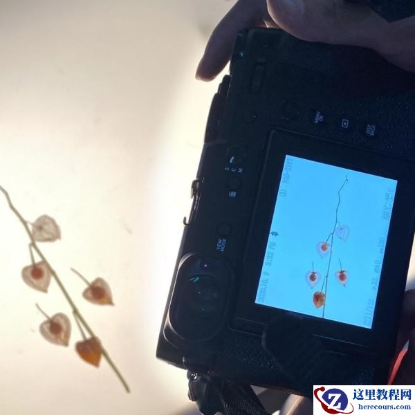 中画幅“幅”不服  富士百人影创官 火热招募