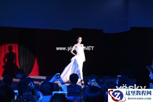 2015尼康婚纱摄影拍摄技巧讲座隆重举行