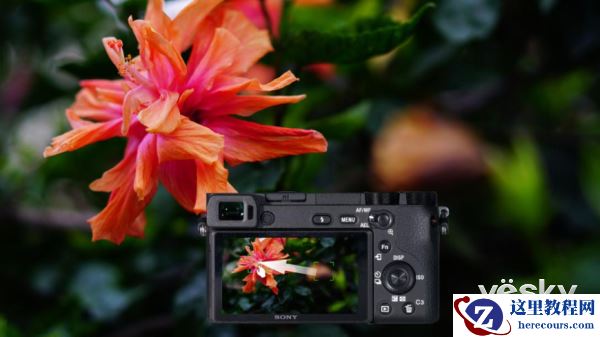 伴你成长留住回忆 索尼微单™A6500心得分享