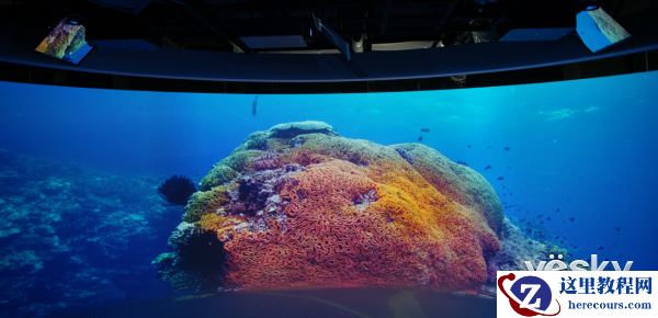 索尼中国专业系统集团娱乐解决方案业务启动