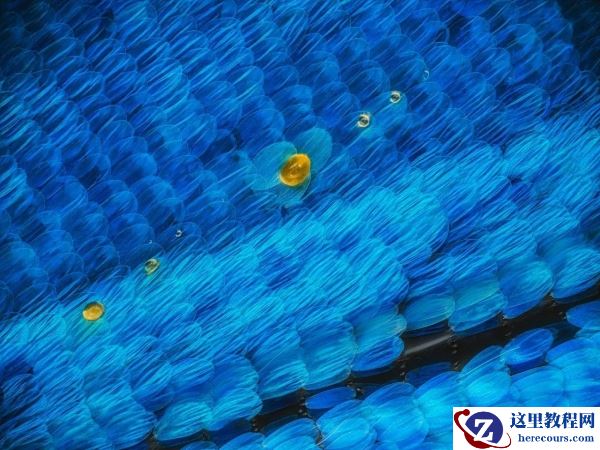 中画幅“幅”不服  富士百人影创官 火热招募