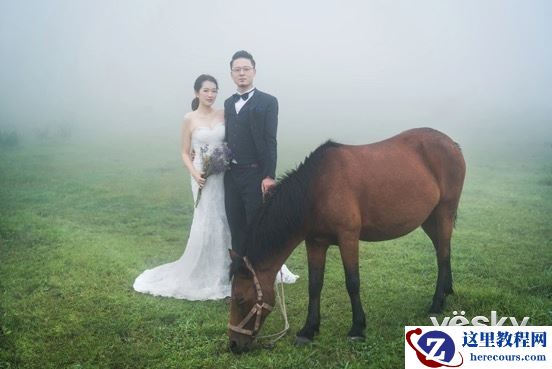 专业之选 与索尼A7RII一起见证幸福