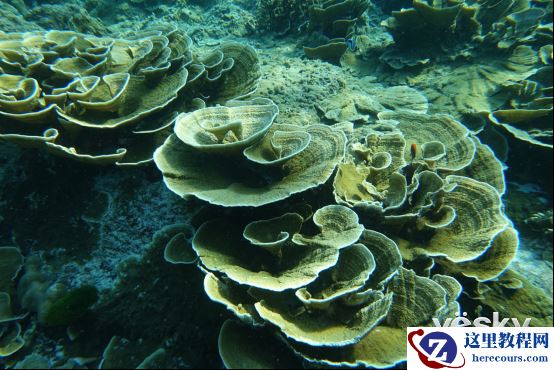 开启新视界 索尼黑卡迷你RX0泰国之旅（中）