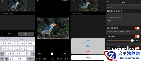 全面支持专业工作流 索尼Alpha 9 II评测