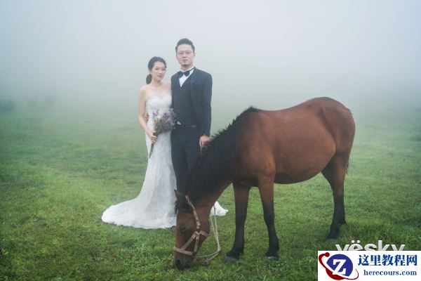 与欧阳智斌一起见证婚礼的幸福时刻