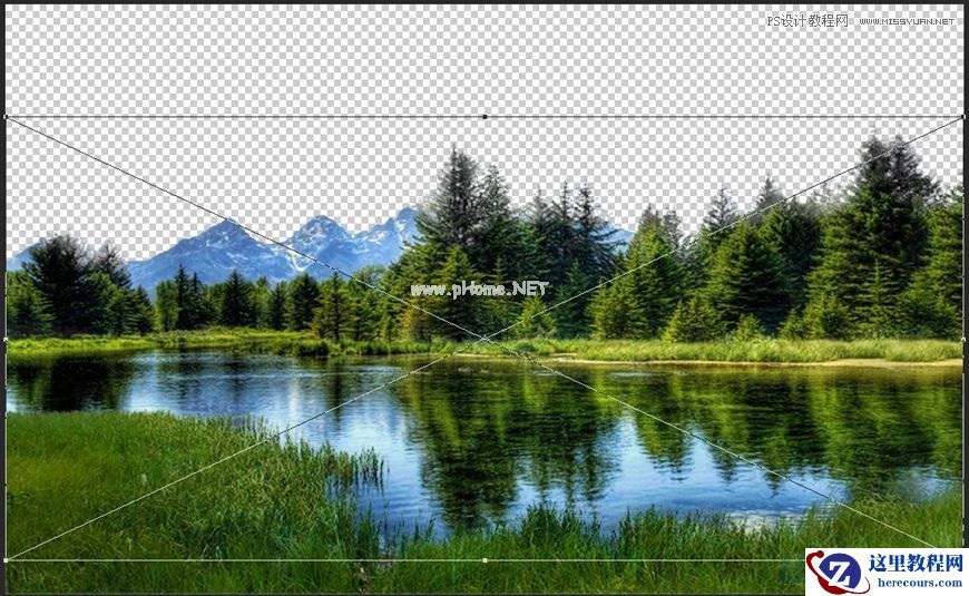 Photoshop合成森林中马灯下的小动物