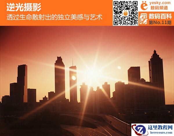 逆光摄影 透过生命散射出的独立美感与艺术