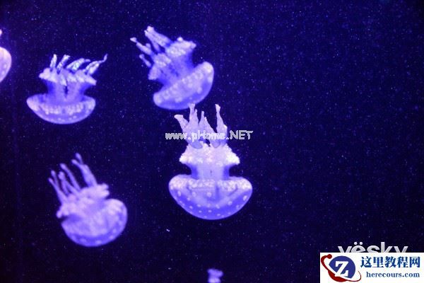 极致画质体验 腾龙A007镜头垦丁&花莲游记