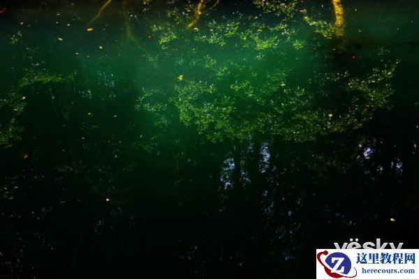 带着索尼全画幅微单A7RII随行随拍