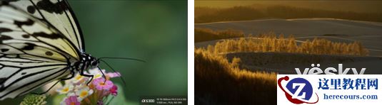 索尼黑卡RX10III与索尼全画幅微单镜头发布