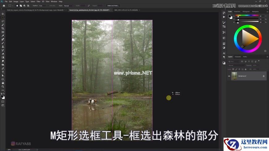Photoshop创意合成森林中的新娘和鸟笼
