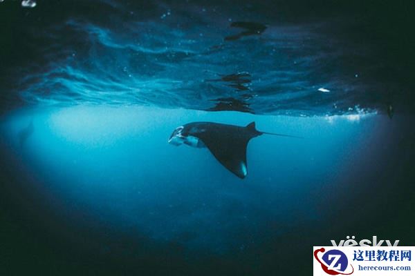 最后邀请：2017索尼世界摄影大赛截稿在即