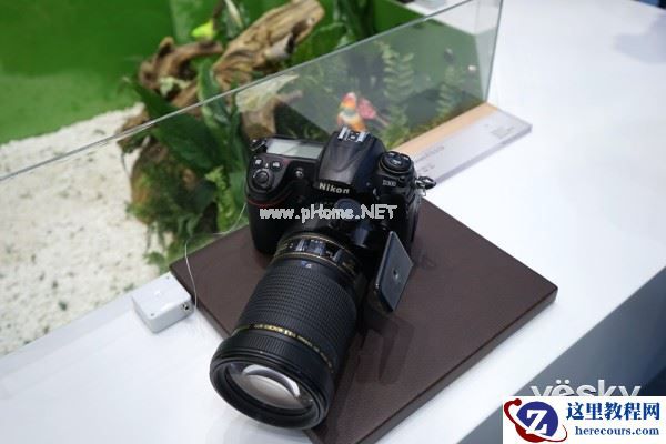 P&E2015:极致之微 腾龙微距展台成热门