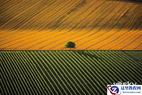 画框艺术 除了镜头外的空间美学摄影知识
