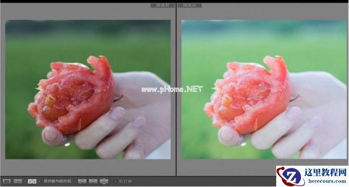 LR调出小清新风格的西红柿照片