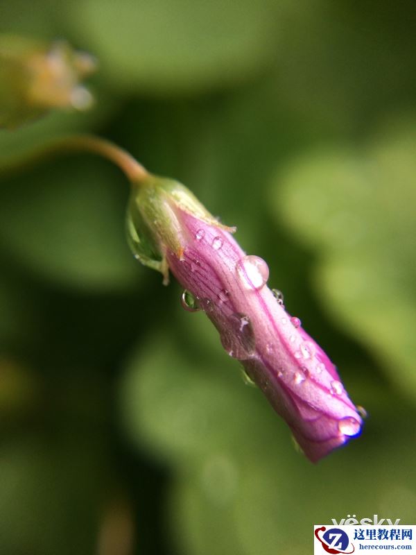 曼富图手机配件和pixi单肩邮差包体验