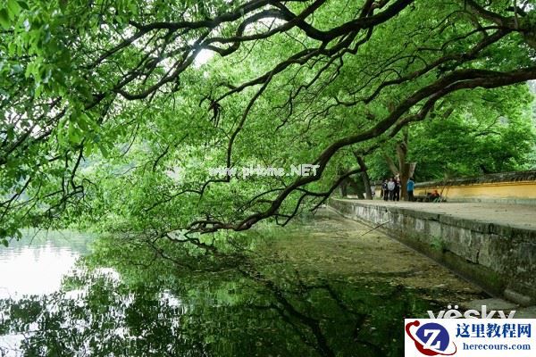 记录春日美景 索尼全画幅微单™a7K试用