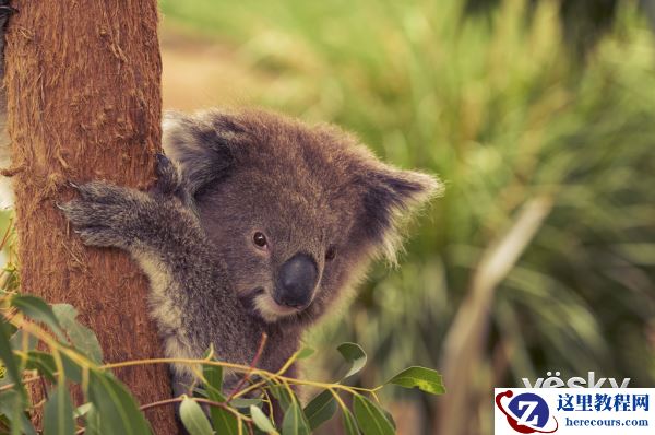 《索尼游天下 聚焦墨尔本》影展亮相U Space