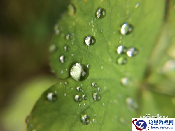 曼富图手机配件和pixi单肩邮差包体验