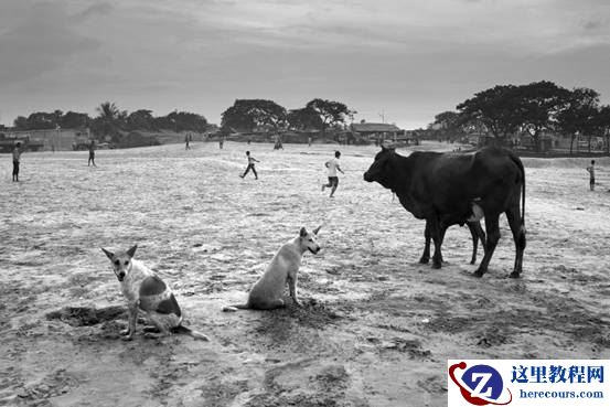 说明: Macintosh HD:Users:apple:Desktop:2.pic.jpg