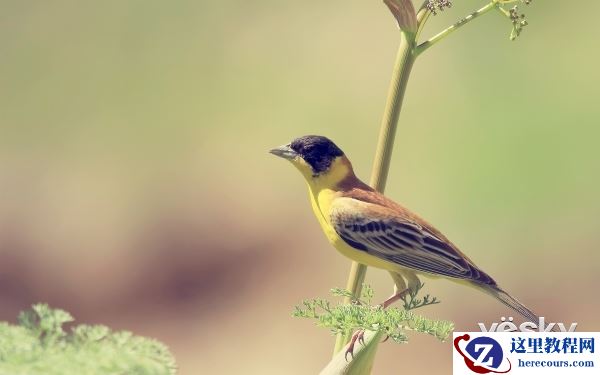 照片失真怎么办?这几招帮你提高摄影清晰度