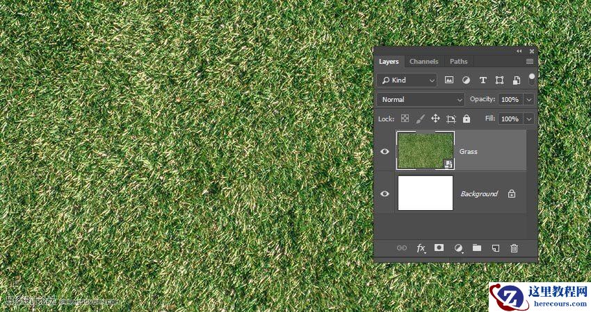 毛茸茸字体：用PS制作动物皮毛艺术字