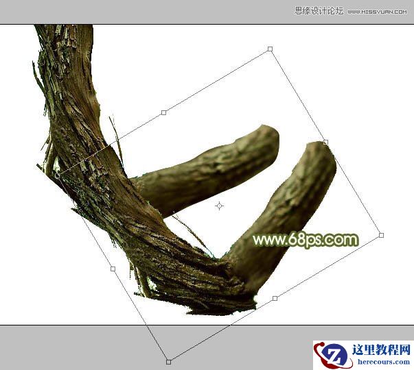 Photoshop制作创意的树藤艺术字教程