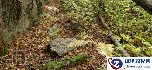 Photoshop合成耀眼的木质纹理字体