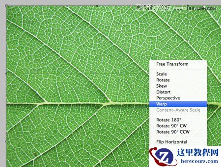 Photoshop创建清新的绿叶文字教程