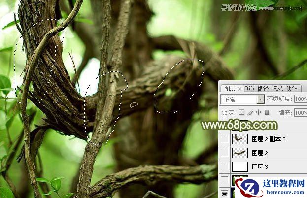 Photoshop制作创意的树藤艺术字教程