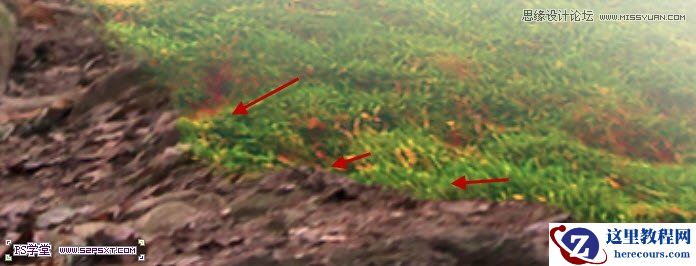 Photoshop制作树木图案立体字教程