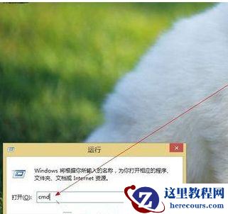 Win8系统如何进入dos界面？