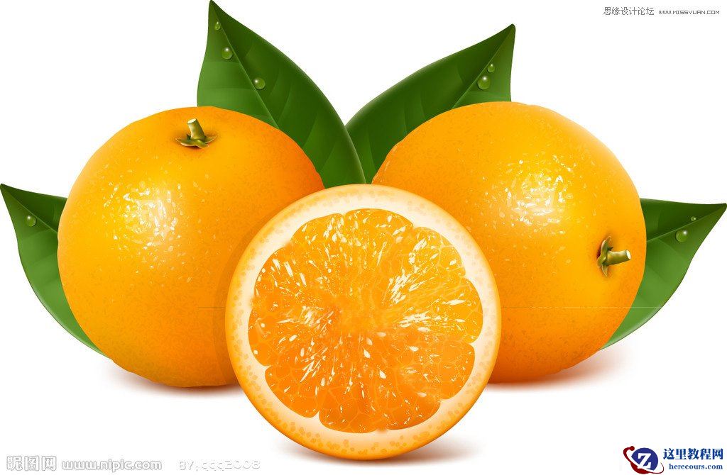 Photoshop制作橘子果肉图案的艺术字教程