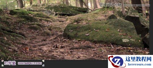 Photoshop制作树木图案立体字教程