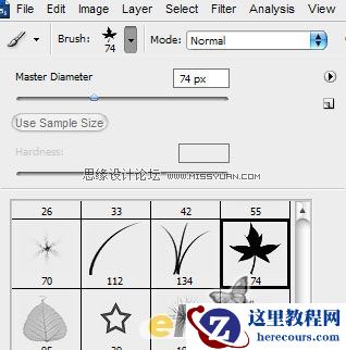 Photoshop制作漂亮的花纹字教程