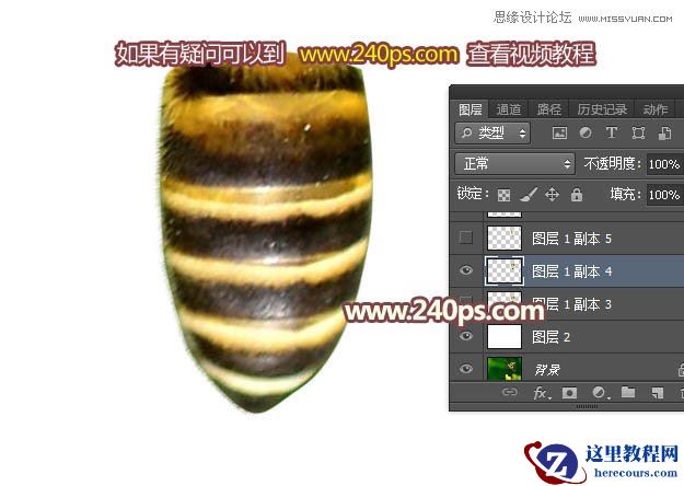 Photoshop制作可爱的蜜蜂纹理艺术字教程