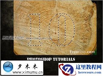 Photoshop制作木头文字效果教程