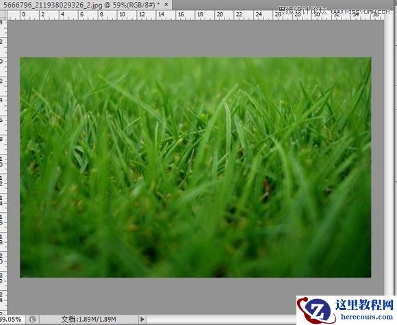 Photoshop制作春季草丛中的艺术字教程