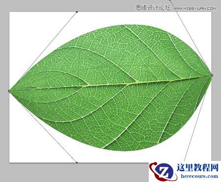 Photoshop创建清新的绿叶文字教程