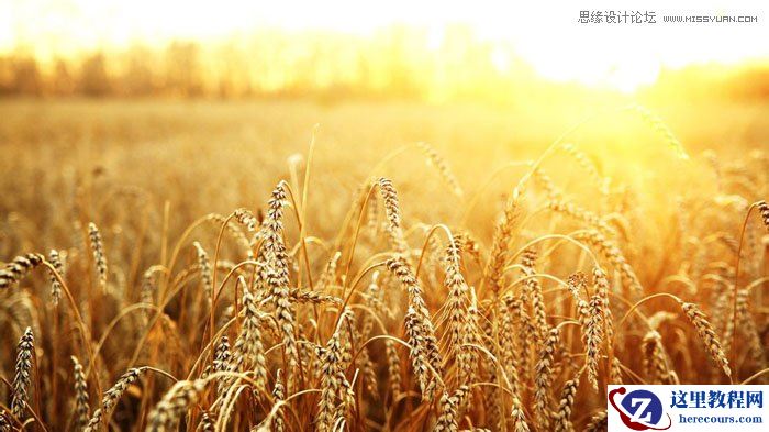 Photoshop制作个性的金色立体字教程