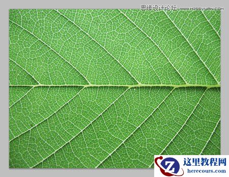 Photoshop创建清新的绿叶文字教程