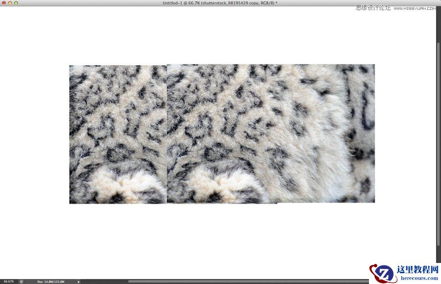 Photoshop制作动物毛发效果的艺术字教程