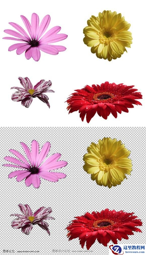 Photoshop制作漂亮的花朵字效果