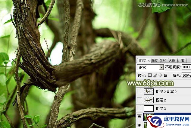 Photoshop制作创意的树藤艺术字教程