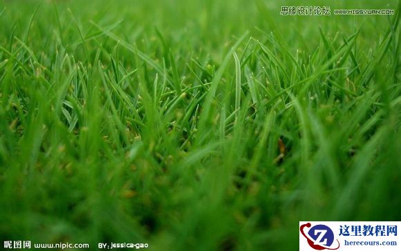 Photoshop制作春季草丛中的艺术字教程