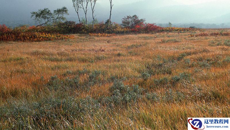 Photoshop制作秋季主题风格的立体字