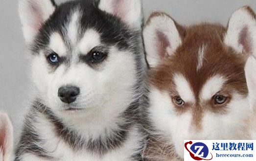 Win10显示器颜色怎么调节？Win10显示器颜色调节方法分享