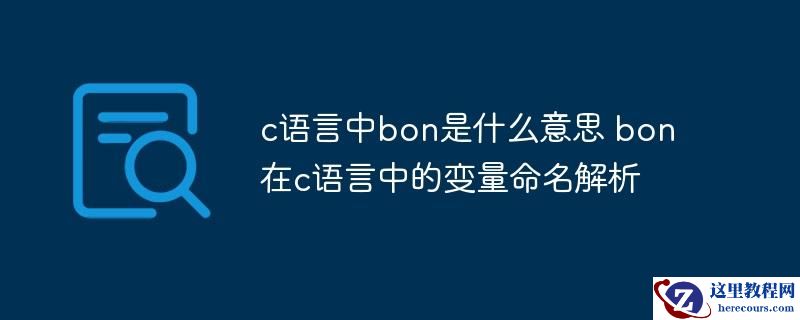 c语言中bon是什么意思 bon在c语言中的变量命名解析